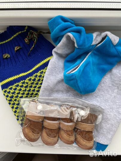 Одежда для маленьких собак