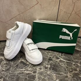 Puma oslo maja