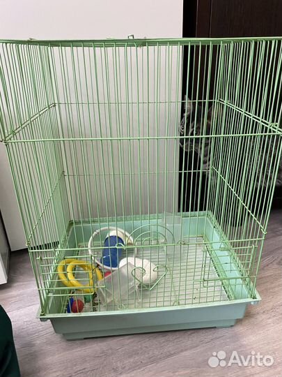 Клетка для птиц