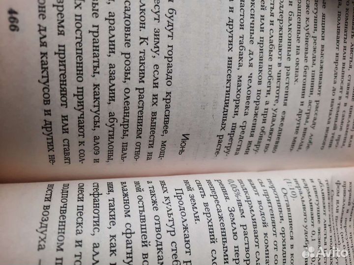 Растения в интерьере