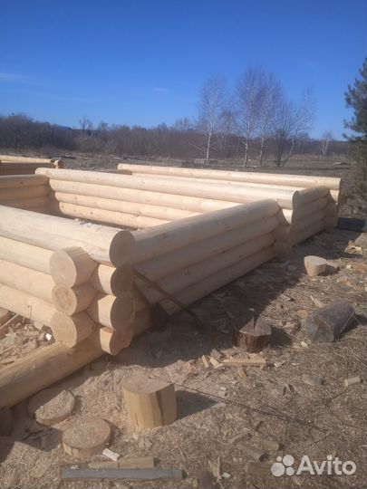 Срубы из зимнего леса