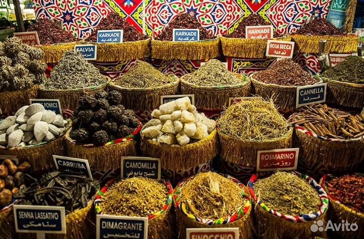 Тур путевка в Шарм-эш-Шейх на 7 нч. 5*, всё вкл