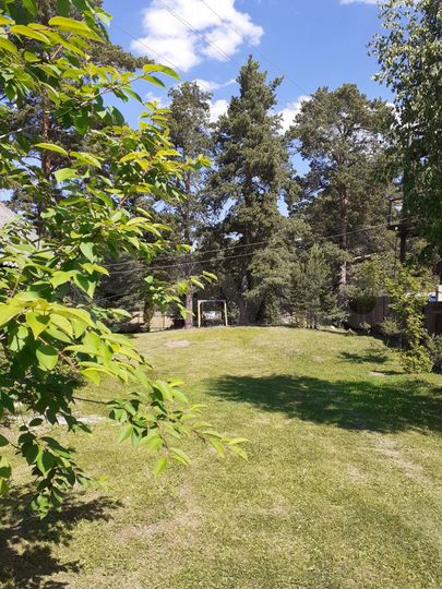 Дача 60 м² на участке 18 сот.