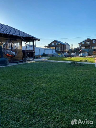 Рулонный газон, элитные травосмеси