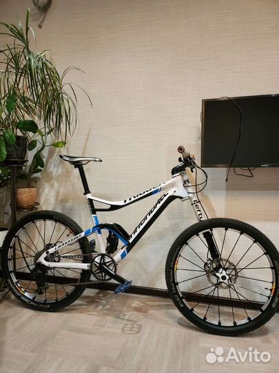 Cannondale trigger carbon
