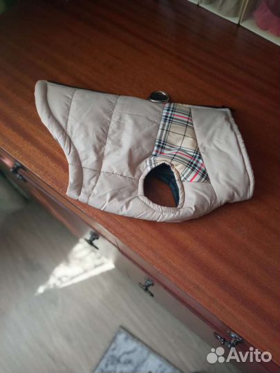 Жилетка для небельшой собаки