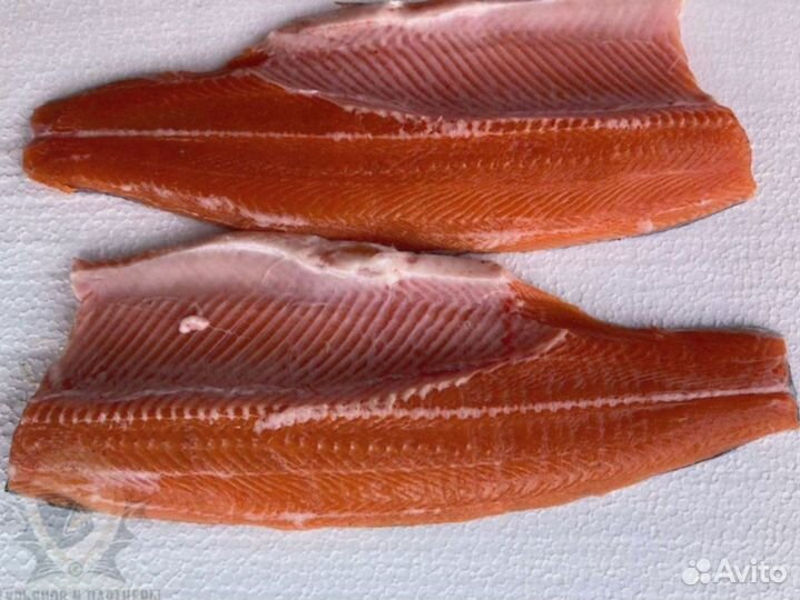 Форель килька обрезь лосося скумбрия горбуша оптом