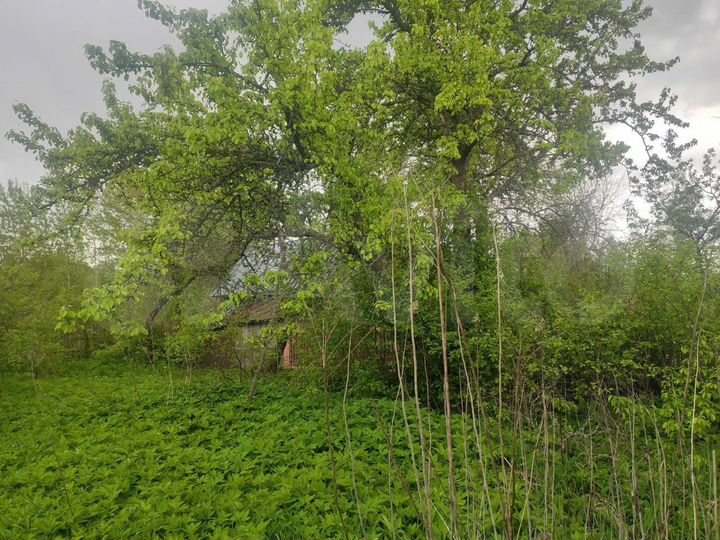 Дача 20 м² на участке 10 сот.