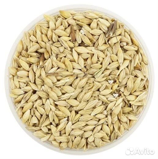 Фураж (ячмень+пшеница)