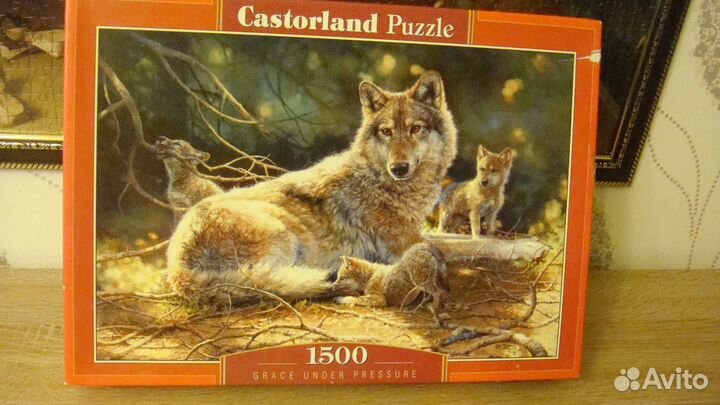 Пазлы новые