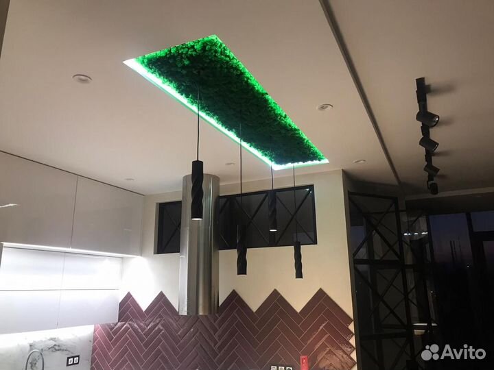 Логотипы из мха, декор и озеленение интерьера