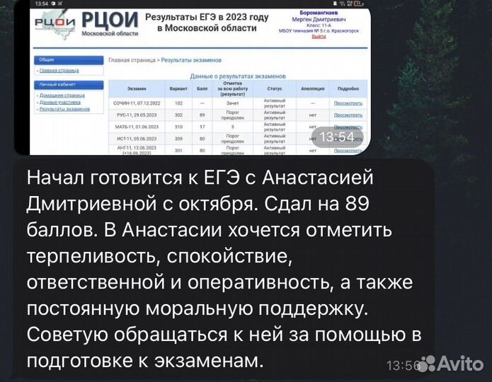 Репетитор по русскому языку, подготовка к огэ/егэ