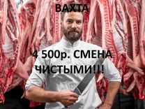 Обвальщик(ца) мяса Работа Вахтой