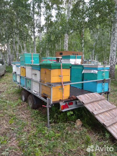 Прицеп легковой двухосный для перевозки пчел бу