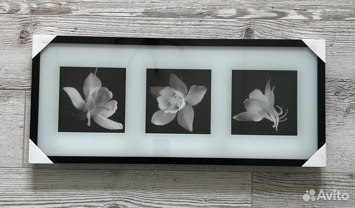 Картина IKEA. Цветы в ч/б цвете