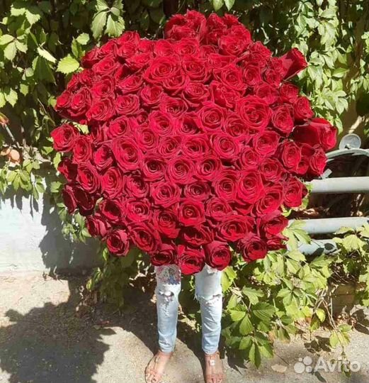 Букет из 25,31,51,101 розы