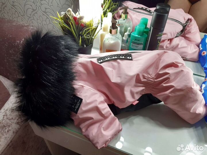 Одежда для собак