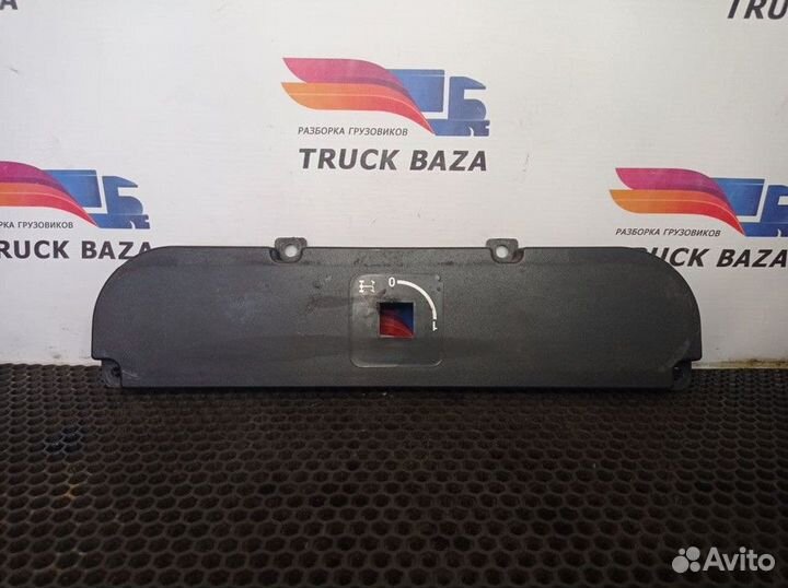 Накладка декоративная Iveco Stralis