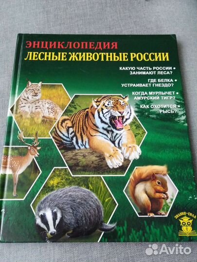 Энциклопедия для детей про лесных животных