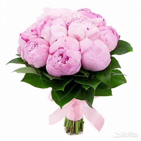 Букет 101 роза Доставка цветы розы 75 59 29 15