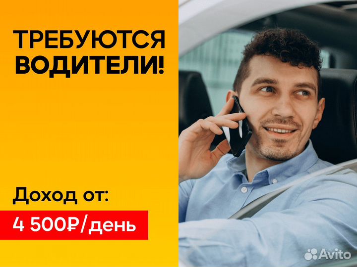 Водитель Яндекс.Такси