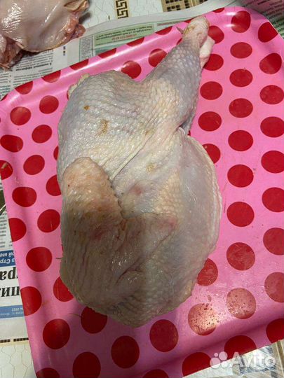 Курица охлажденная и заморозка