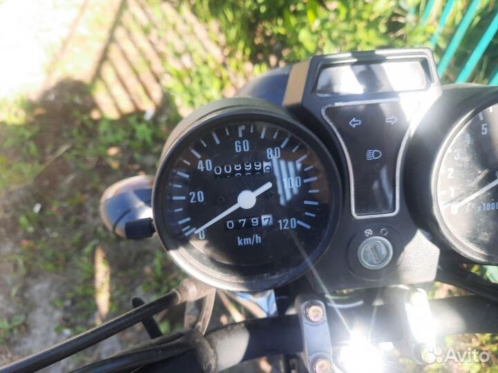 Alpha Forester/Hunter