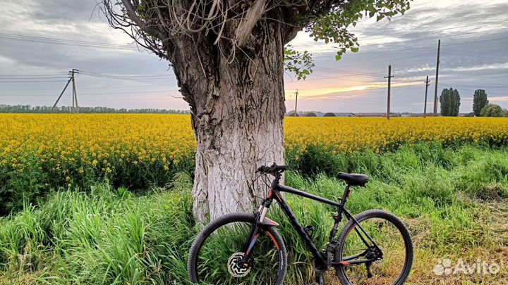 Горный велосипед 29 Scott Aspect 930