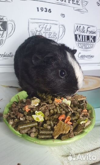 Корм для животных сухой