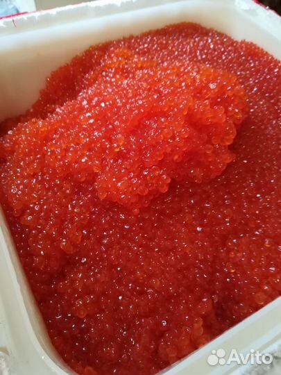 Рыба и морепродукты