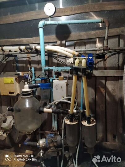 Автоматическая дойка