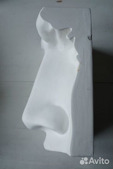 Нос Давида (гипс)