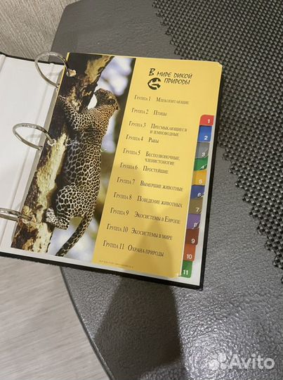 Энциклопедия в мире дикой природы