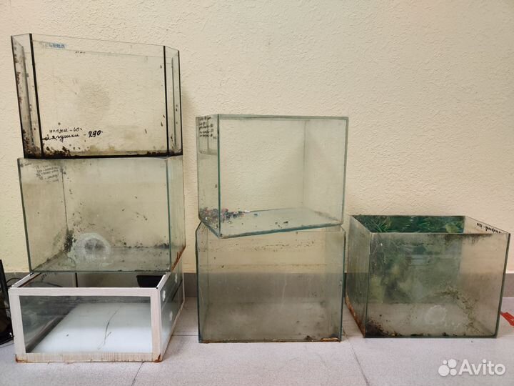 Аквариумы, черепашник-бесплатно