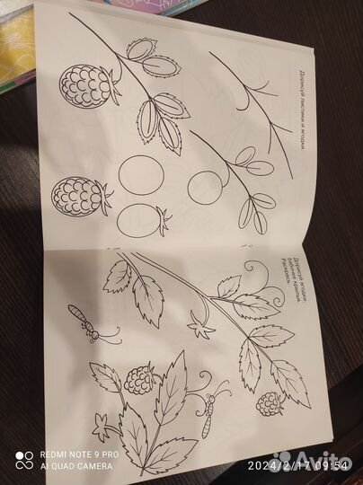 Учусь рисовать. Автор -Д. Морозова