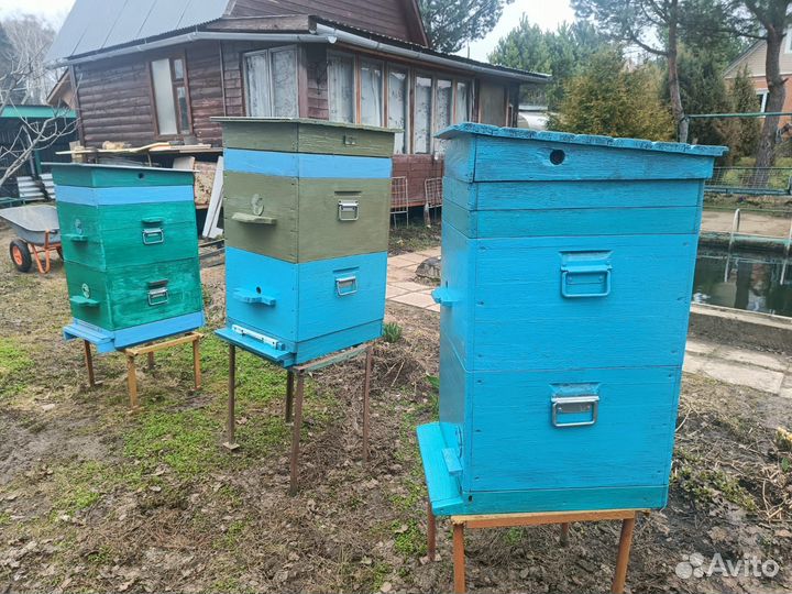 Ульи для пчел бу