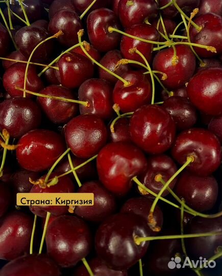 Свежие абрикосы / черешня / нектарин