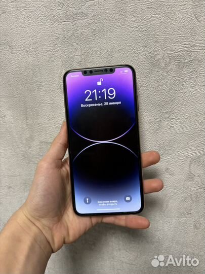 iPhone Xs Max, 256 ГБ