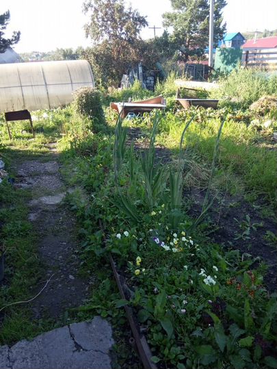 Дом 43 м² на участке 9 сот.