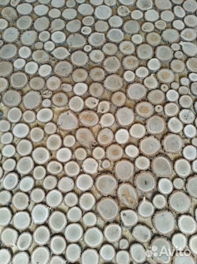 Спилы из дуба