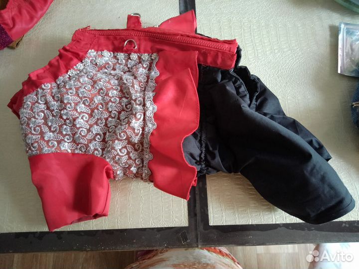 Вещи для собачки мопса девочки