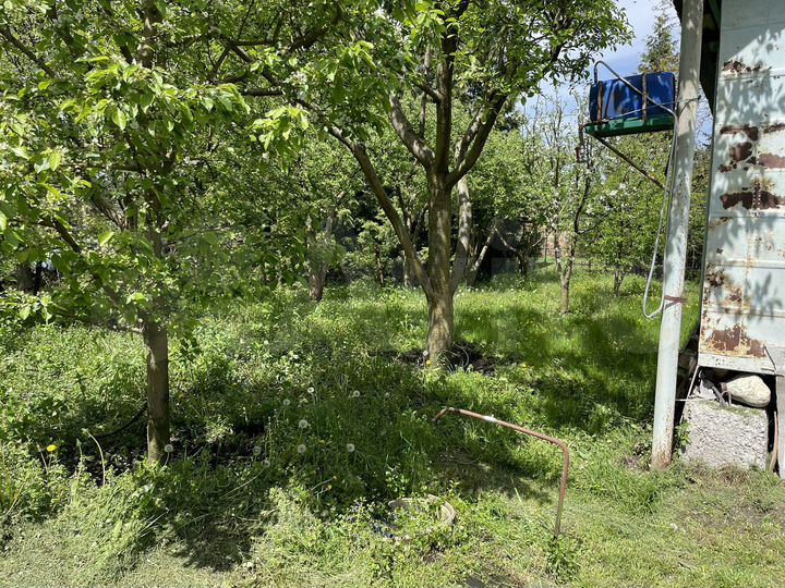 Участок 23 сот. (СНТ, ДНП)
