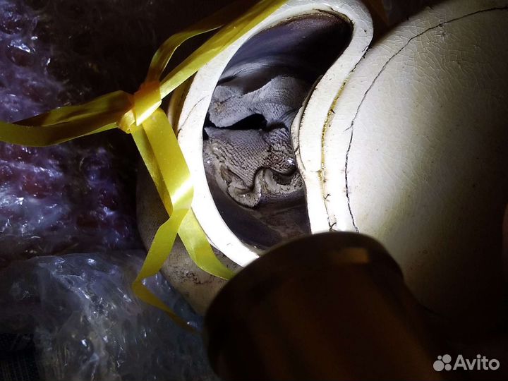 Пепельница