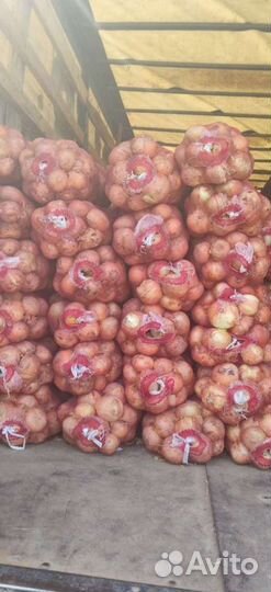 Лук Репчатый Доставка