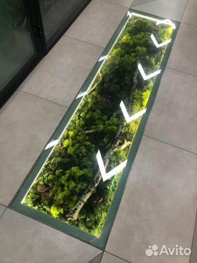 Озеленение мхом