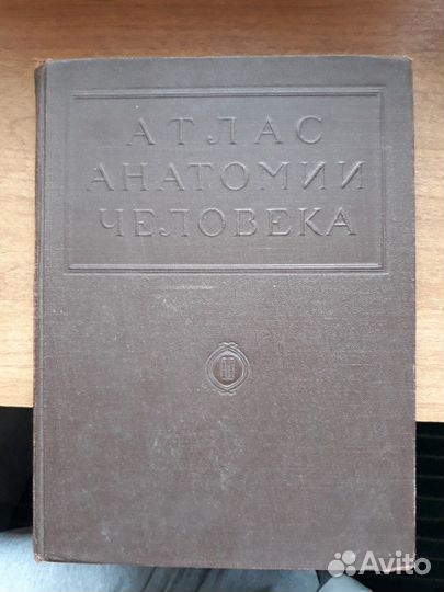 Атлас анатомии человека ll том