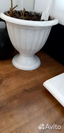 Вазоны большие