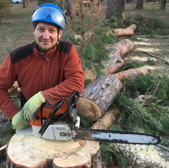 Спилить дерево