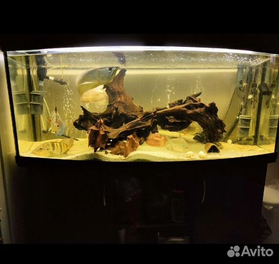 Аквариум 450 литров
