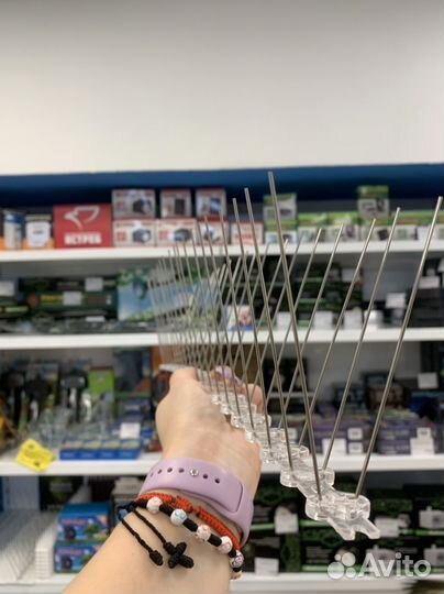 Шипы противоприсадные лук барьер 2